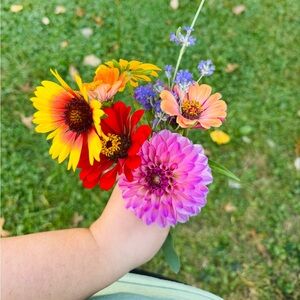 Meet your Posher, Sarah